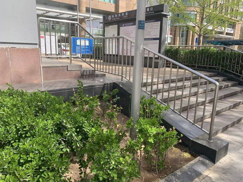 追蹤報(bào)道 城市綠化帶，犄角旮旯里的垃圾不見了——探訪城市綠化精細(xì)化管理的轉(zhuǎn)變