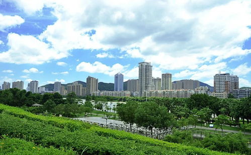 環(huán)衛(wèi)綠化一體化運(yùn)營 讓城市園林綠化管理更系統(tǒng)、更精細(xì)